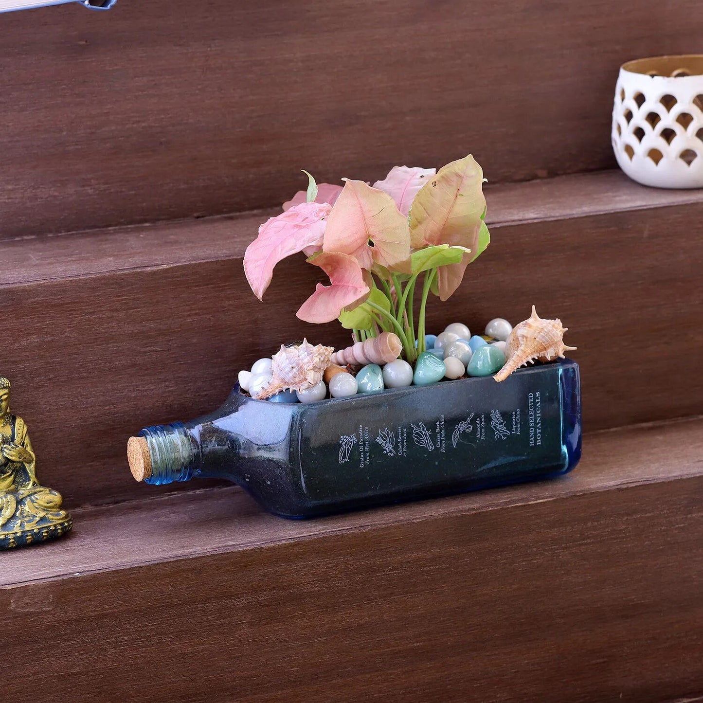 Bombay Sapphire Bottle Planter | Glass Bottle Hanging Planter, Ideal For Terrace And Home Garden, Indoor & Outdoor Plants