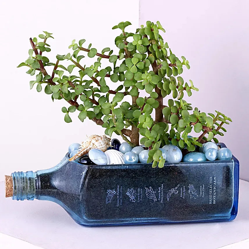 Bombay Sapphire Bottle Planter | Glass Bottle Hanging Planter, Ideal For Terrace And Home Garden, Indoor & Outdoor Plants