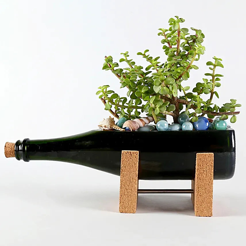 Champagne Bottle Planter for Living Room Bedroom Display Plant Planter Pot Terrace, Garden Suitable for Home